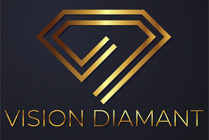 logo vision diamant petit